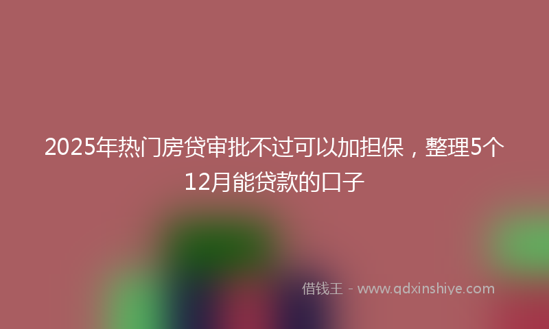 2025年热门房贷审批不过可以加担保，整理5个12月能贷款的口子
