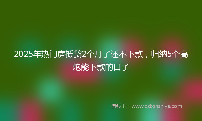 2025年热门房抵贷2个月了还不下款，归纳5个高炮能下款的口子