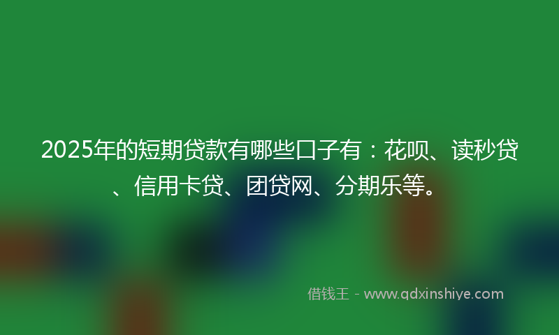 2025年的短期贷款有哪些口子有：花呗、读秒贷、信用卡贷、团贷网、分期乐等。