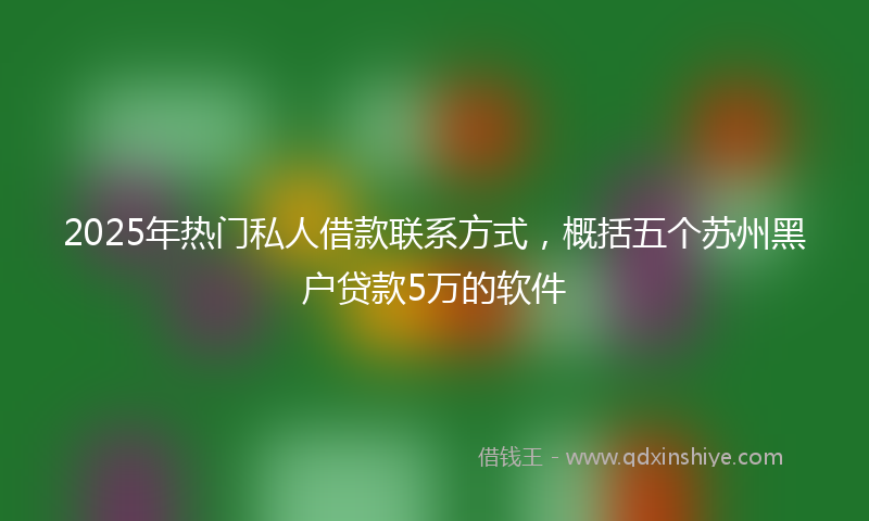 2025年热门私人借款联系方式，概括五个苏州黑户贷款5万的软件