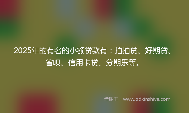 2025年的有名的小额贷款有：拍拍贷、好期贷、省呗、信用卡贷、分期乐等。