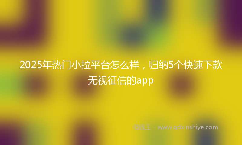 2025年热门小拉平台怎么样，归纳5个快速下款无视征信的app
