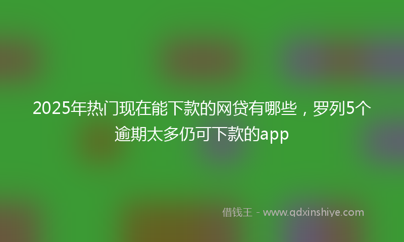 2025年热门现在能下款的网贷有哪些，罗列5个逾期太多仍可下款的app