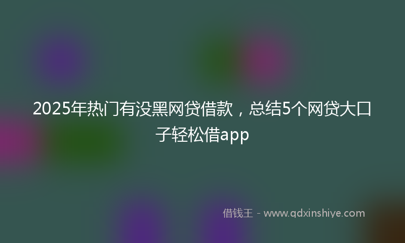 2025年热门有没黑网贷借款，总结5个网贷大口子轻松借app