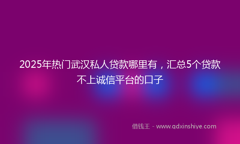 2025年热门武汉私人贷款哪里有，汇总5个贷款不上诚信平台的口子