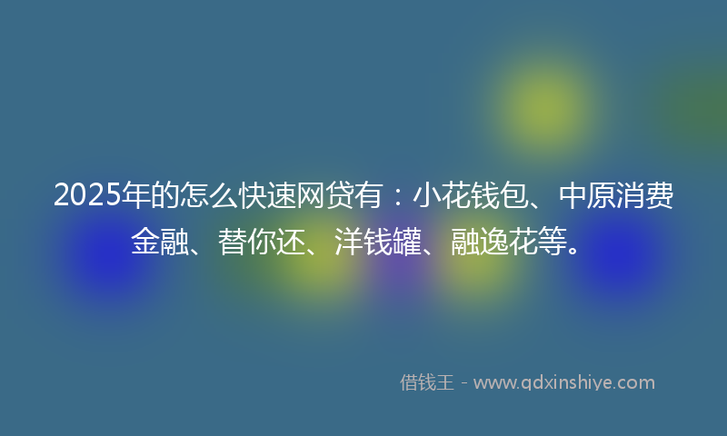 2025年的怎么快速网贷有：小花钱包、中原消费金融、替你还、洋钱罐、融逸花等。