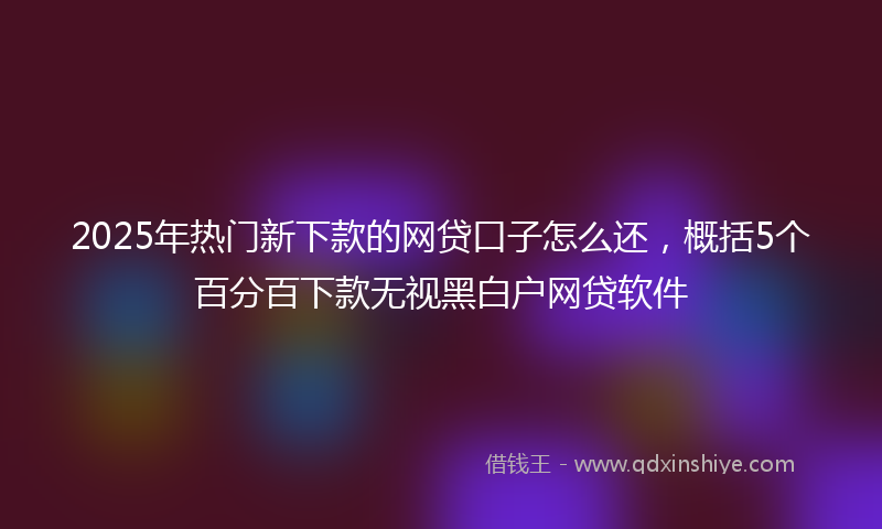 2025年热门新下款的网贷口子怎么还，概括5个百分百下款无视黑白户网贷软件