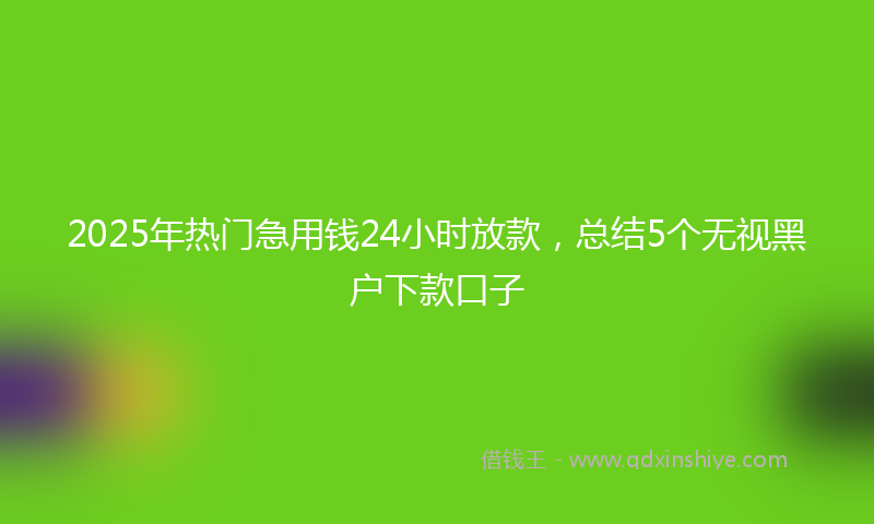 2025年热门急用钱24小时放款，总结5个无视黑户下款口子