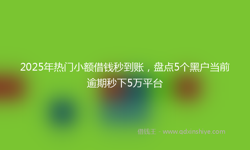 2025年热门小额借钱秒到账，盘点5个黑户当前逾期秒下5万平台