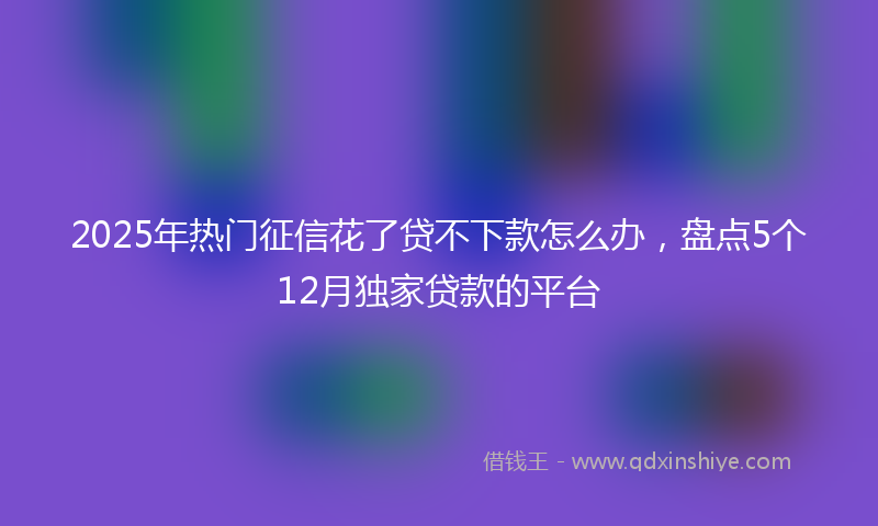 2025年热门征信花了贷不下款怎么办，盘点5个12月独家贷款的平台