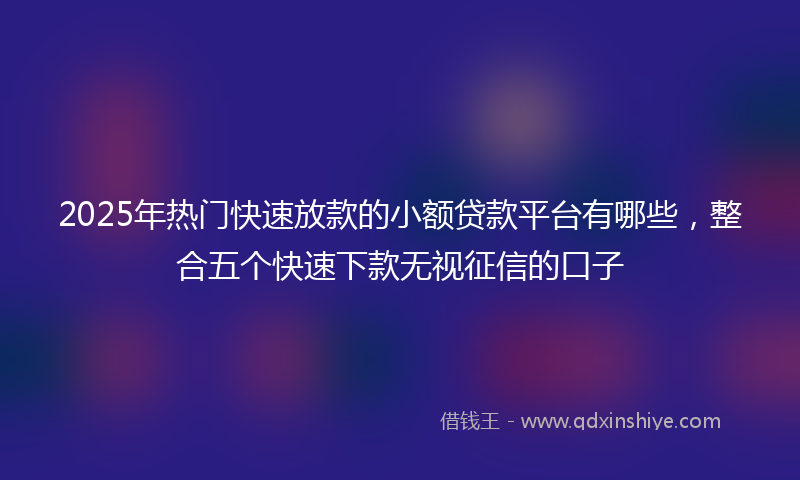2025年热门快速放款的小额贷款平台有哪些,整合五个快速下款无视征信的口子