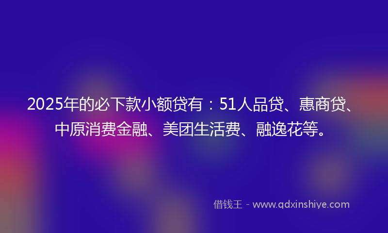2025年的必下款小额贷有：51人品贷、惠商贷、中原消费金融、美团生活费、融逸花等。