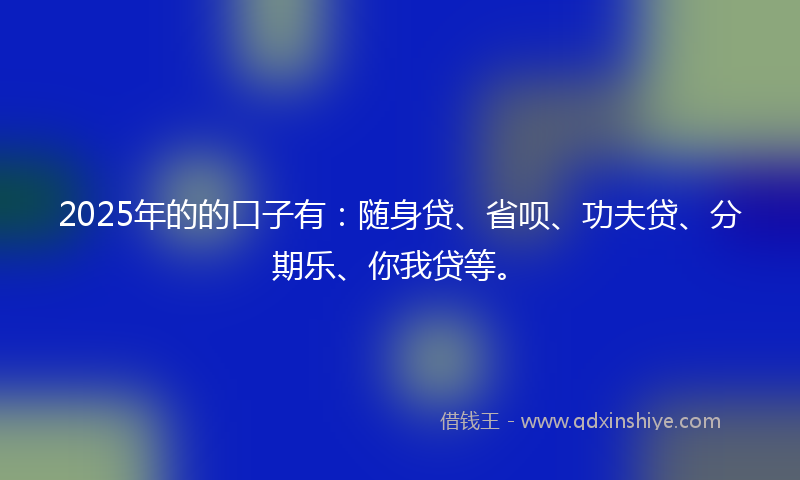 2025年的的口子有：随身贷、省呗、功夫贷、分期乐、你我贷等。