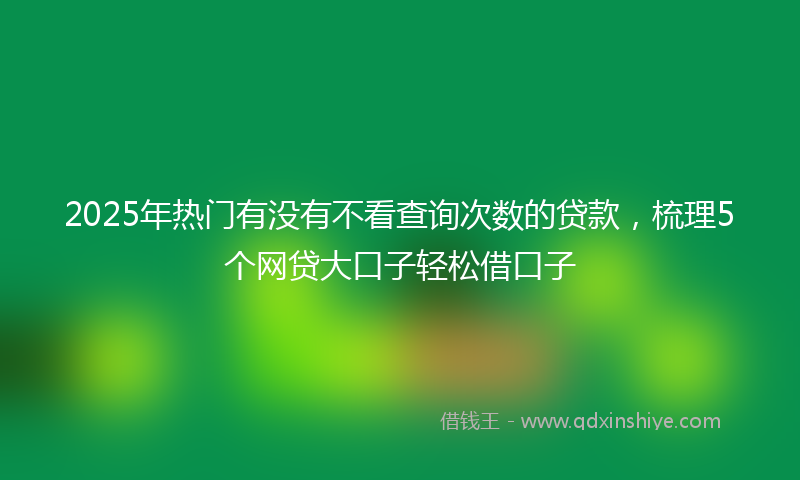 2025年热门有没有不看查询次数的贷款，梳理5个网贷大口子轻松借口子