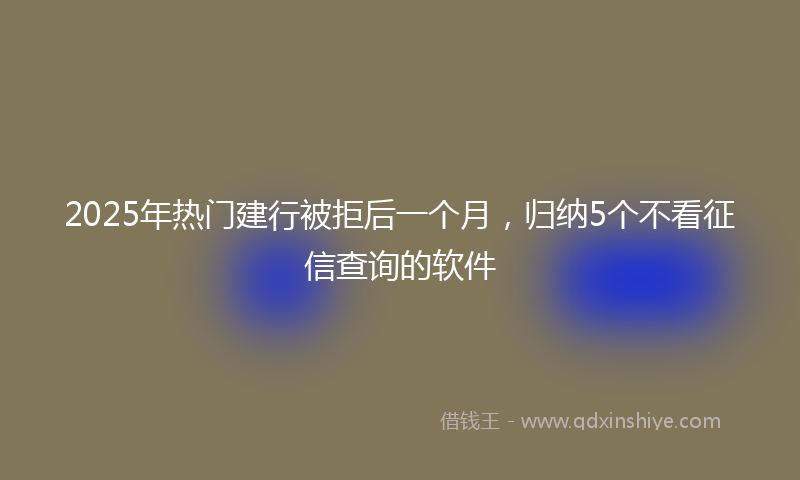 2025年热门建行被拒后一个月，归纳5个不看征信查询的软件