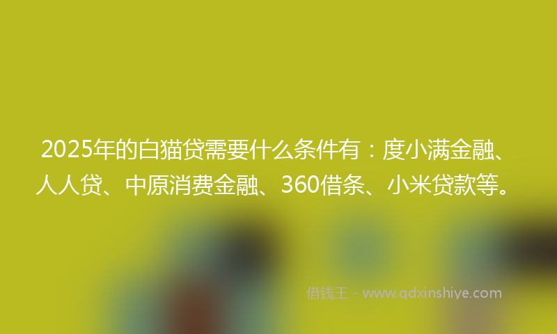 2025年的白猫贷需要什么条件有：度小满金融、人人贷、中原消费金融、360借条、小米贷款等。
