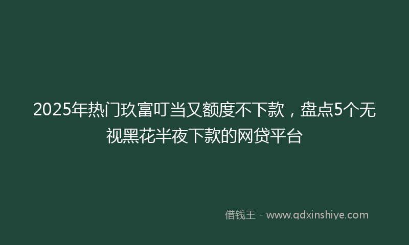 2025年热门玖富叮当又额度不下款，盘点5个无视黑花半夜下款的网贷平台