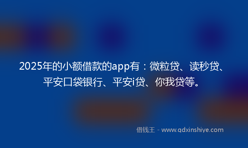 2025年的小额借款的app有：微粒贷、读秒贷、平安口袋银行、平安i贷、你我贷等。