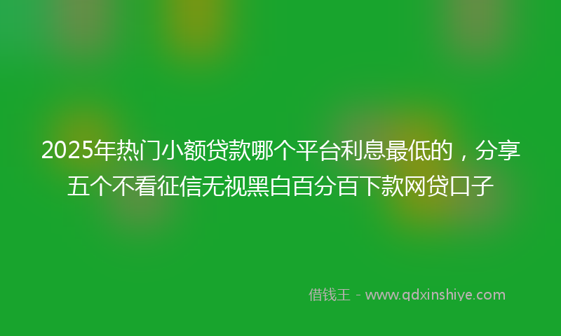 2025年热门小额贷款哪个平台利息最低的，分享五个不看征信无视黑白百分百下款网贷口子