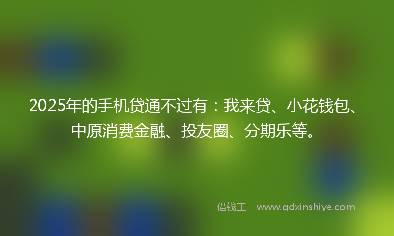 2025年的手机贷通不过有：我来贷、小花钱包、中原消费金融、投友圈、分期乐等。