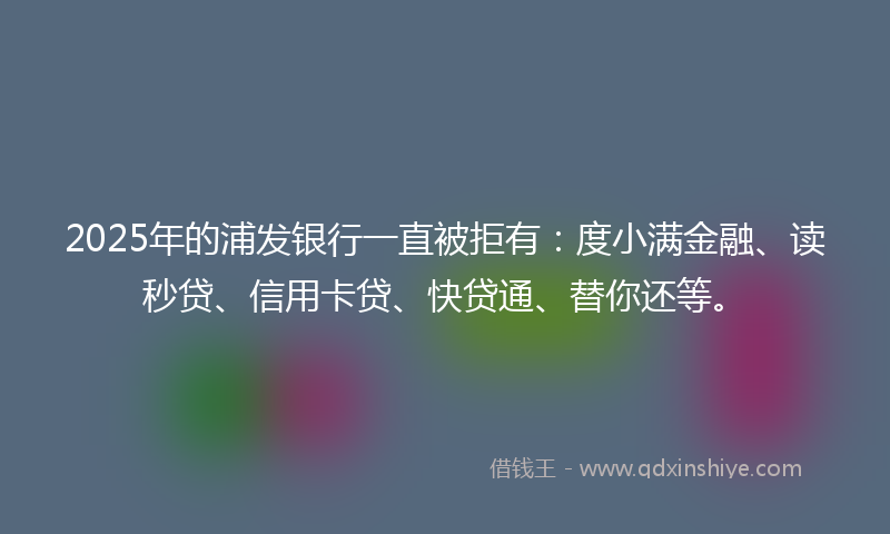 2025年的浦发银行一直被拒有：度小满金融、读秒贷、信用卡贷、快贷通、替你还等。