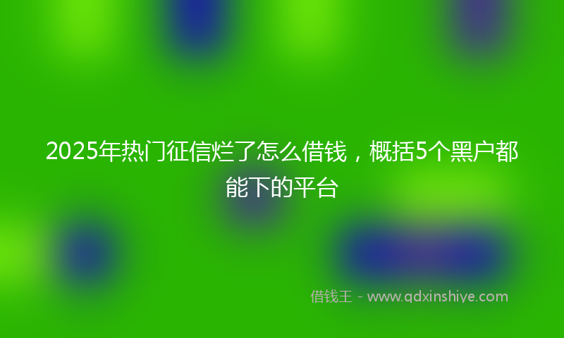 2025年热门征信烂了怎么借钱，概括5个黑户都能下的平台