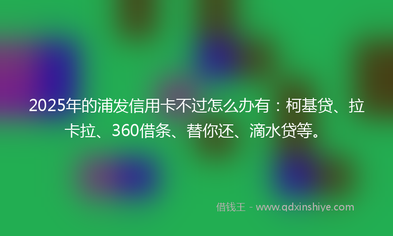 2025年的浦发信用卡不过怎么办有：柯基贷、拉卡拉、360借条、替你还、滴水贷等。