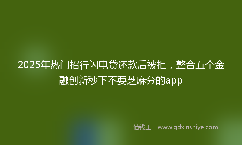 2025年热门招行闪电贷还款后被拒，整合五个金融创新秒下不要芝麻分的app