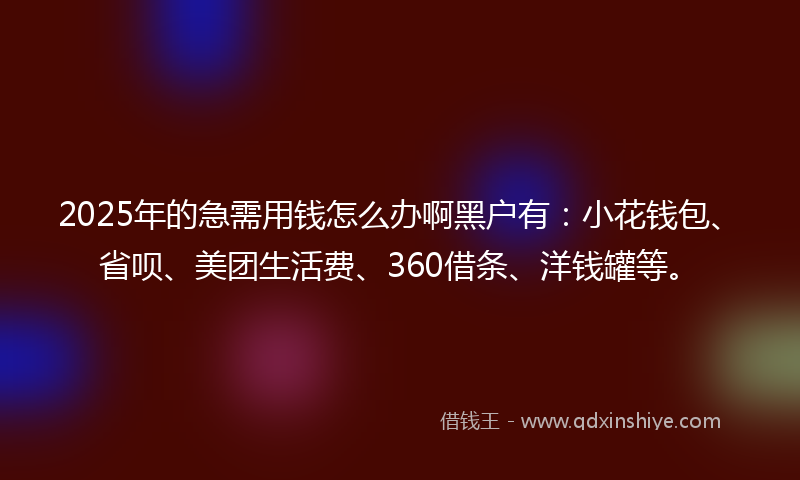 2025年的急需用钱怎么办啊黑户有：小花钱包、省呗、美团生活费、360借条、洋钱罐等。