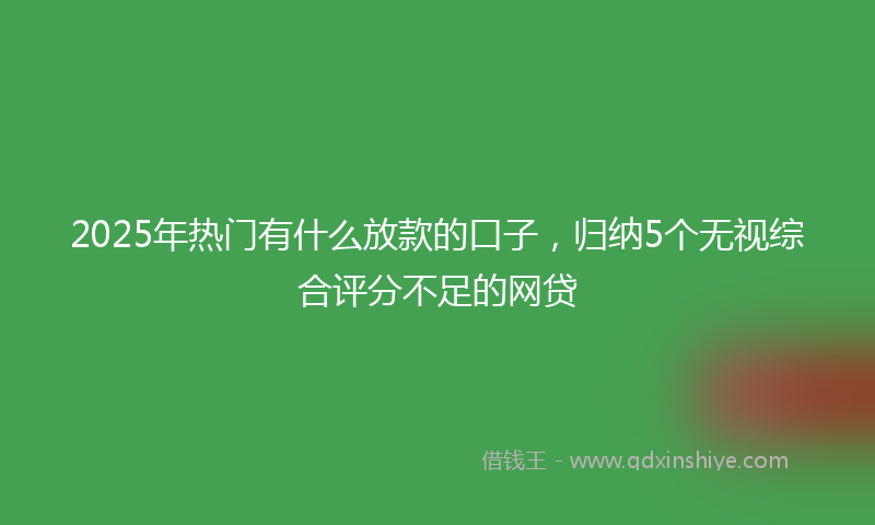 2025年热门有什么放款的口子，归纳5个无视综合评分不足的网贷