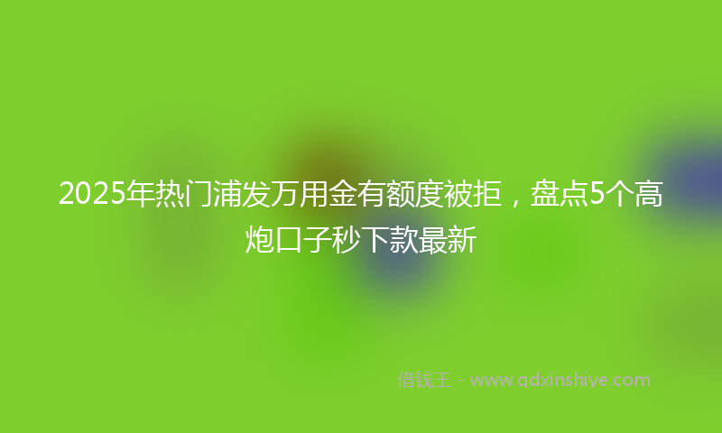 2025年热门浦发万用金有额度被拒，盘点5个高炮口子秒下款最新