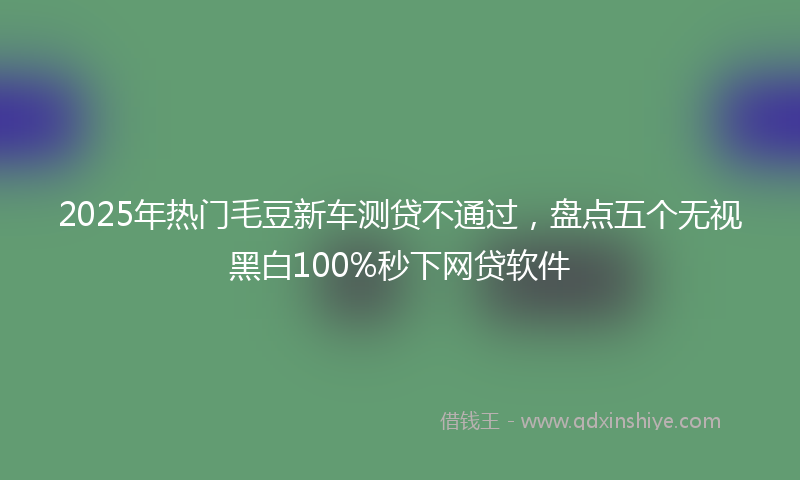 2025年热门毛豆新车测贷不通过，盘点五个无视黑白100%秒下网贷软件