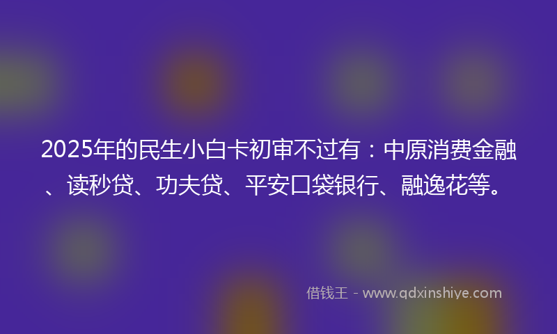 2025年的民生小白卡初审不过有：中原消费金融、读秒贷、功夫贷、平安口袋银行、融逸花等。