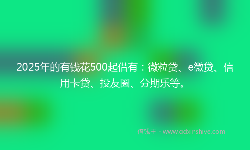 2025年的有钱花500起借有：微粒贷、e微贷、信用卡贷、投友圈、分期乐等。