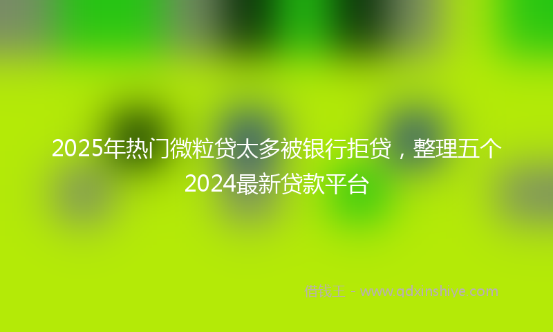 2025年热门微粒贷太多被银行拒贷，整理五个2024最新贷款平台