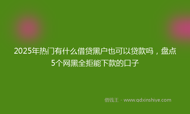 2025年热门有什么借贷黑户也可以贷款吗，盘点5个网黑全拒能下款的口子