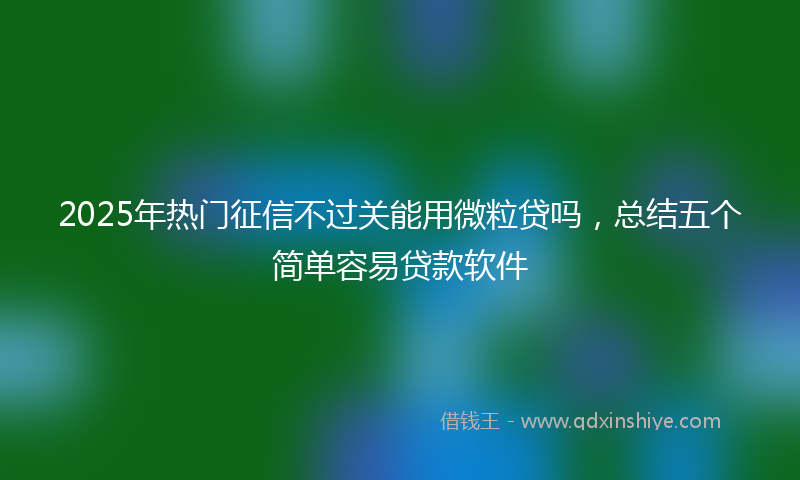 2025年热门征信不过关能用微粒贷吗，总结五个简单容易贷款软件