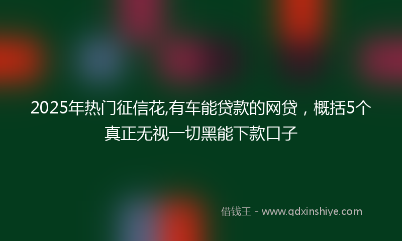 2025年热门征信花,有车能贷款的网贷，概括5个真正无视一切黑能下款口子