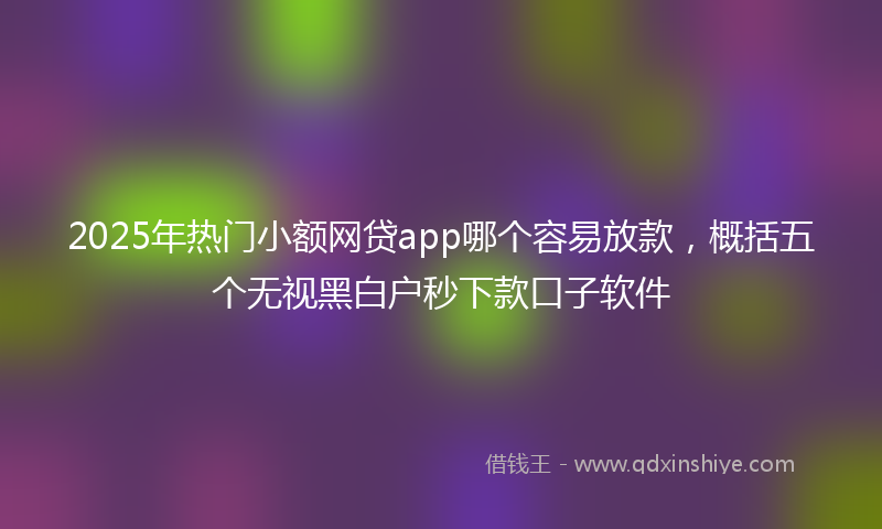 2025年热门小额网贷app哪个容易放款，概括五个无视黑白户秒下款口子软件