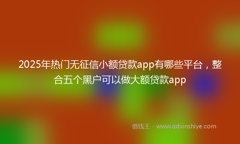 2025年热门无征信小额贷款app有哪些平台，整合五个黑户可以做大额贷款app