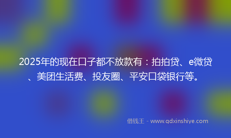 2025年的现在口子都不放款有：拍拍贷、e微贷、美团生活费、投友圈、平安口袋银行等。