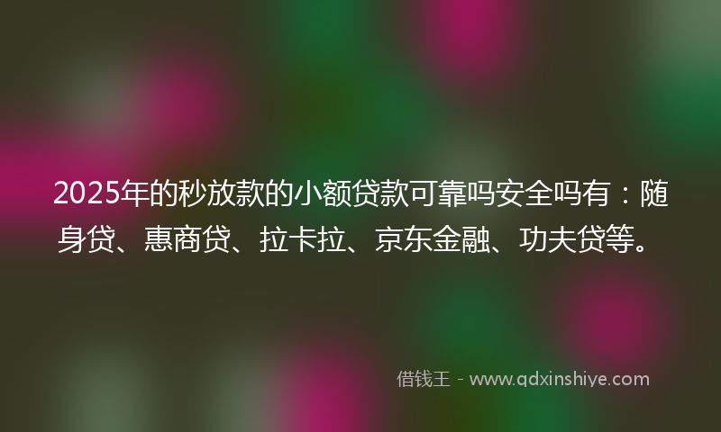 2025年的秒放款的小额贷款可靠吗安全吗有：随身贷、惠商贷、拉卡拉、京东金融、功夫贷等。