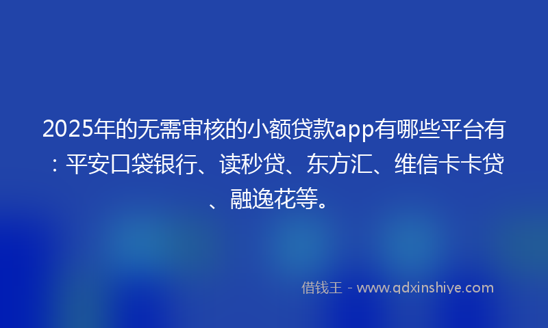 2025年的无需审核的小额贷款app有哪些平台有：平安口袋银行、读秒贷、东方汇、维信卡卡贷、融逸花等。