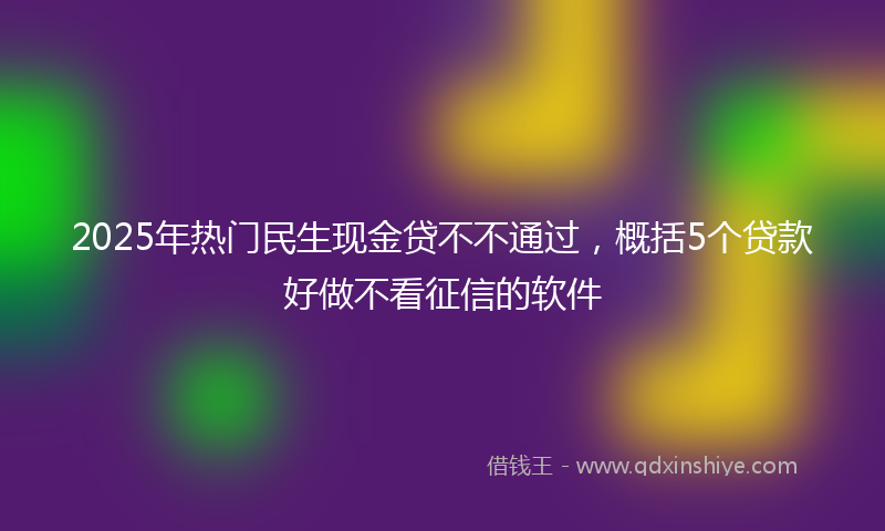 2025年热门民生现金贷不不通过，概括5个贷款好做不看征信的软件