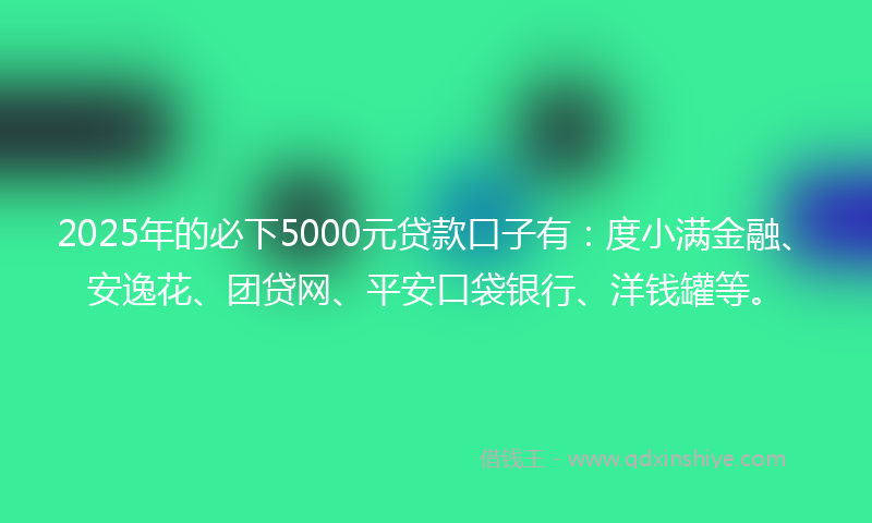 2025年的必下5000元贷款口子有：度小满金融、安逸花、团贷网、平安口袋银行、洋钱罐等。
