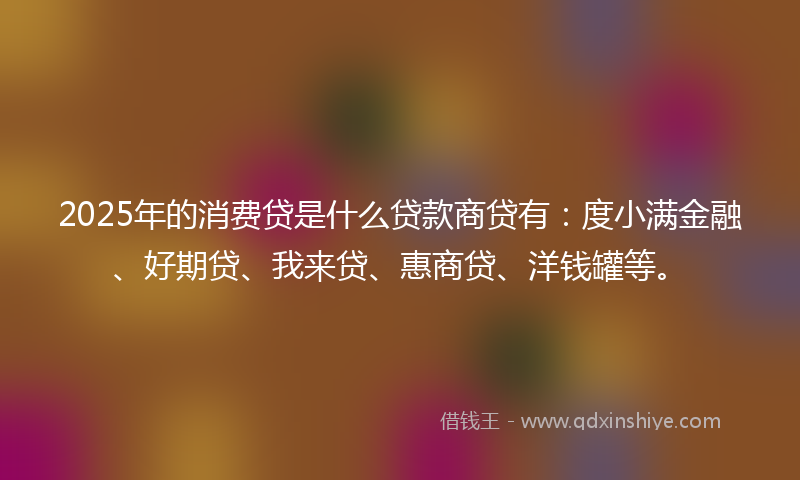 2025年的消费贷是什么贷款商贷有：度小满金融、好期贷、我来贷、惠商贷、洋钱罐等。