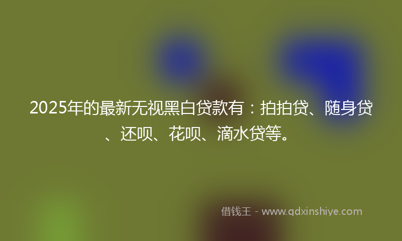 2025年的最新无视黑白贷款有：拍拍贷、随身贷、还呗、花呗、滴水贷等。