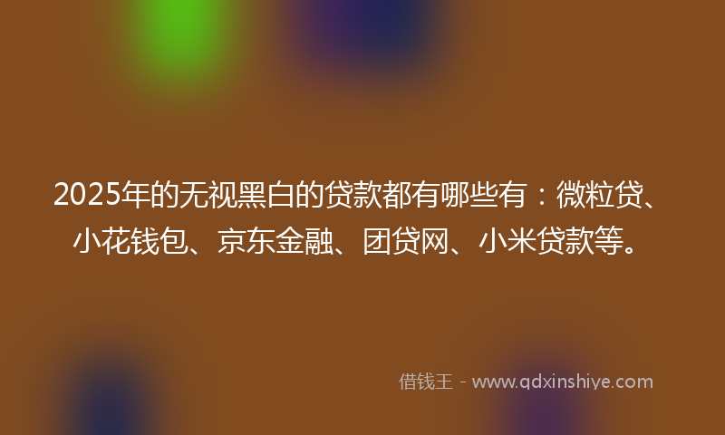 2025年的无视黑白的贷款都有哪些有：微粒贷、小花钱包、京东金融、团贷网、小米贷款等。