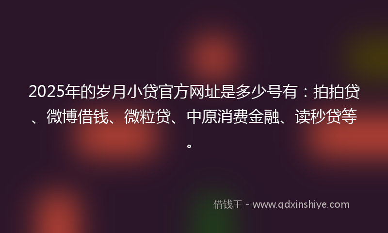2025年的岁月小贷官方网址是多少号有：拍拍贷、微博借钱、微粒贷、中原消费金融、读秒贷等。