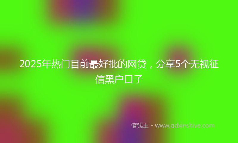 2025年热门目前最好批的网贷，分享5个无视征信黑户口子